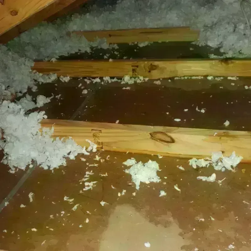 Attic Water Damage in Stanley, ND