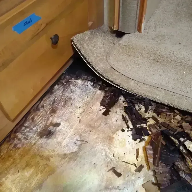 Wood Floor Water Damage in Stanley, ND